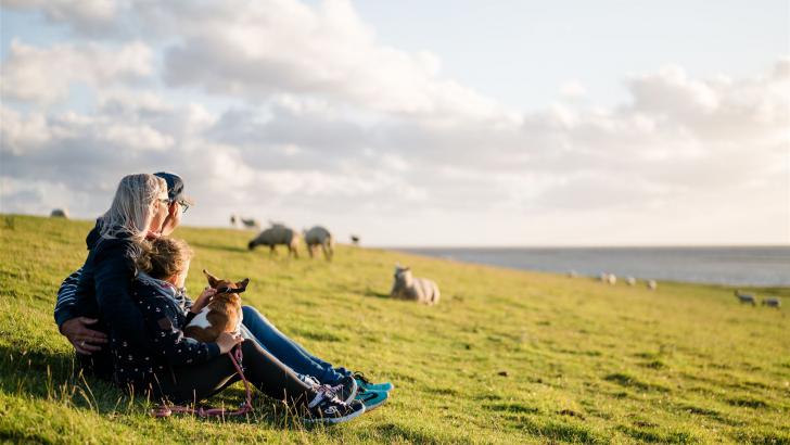 direkt an der Nordsee