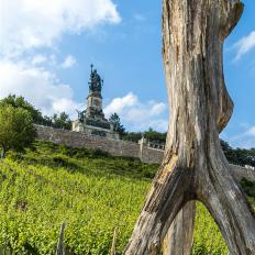 Kleine Auszeit: Das Niederwalddenkmal bei Rüdesheim – Panoramablick auf den Rhein