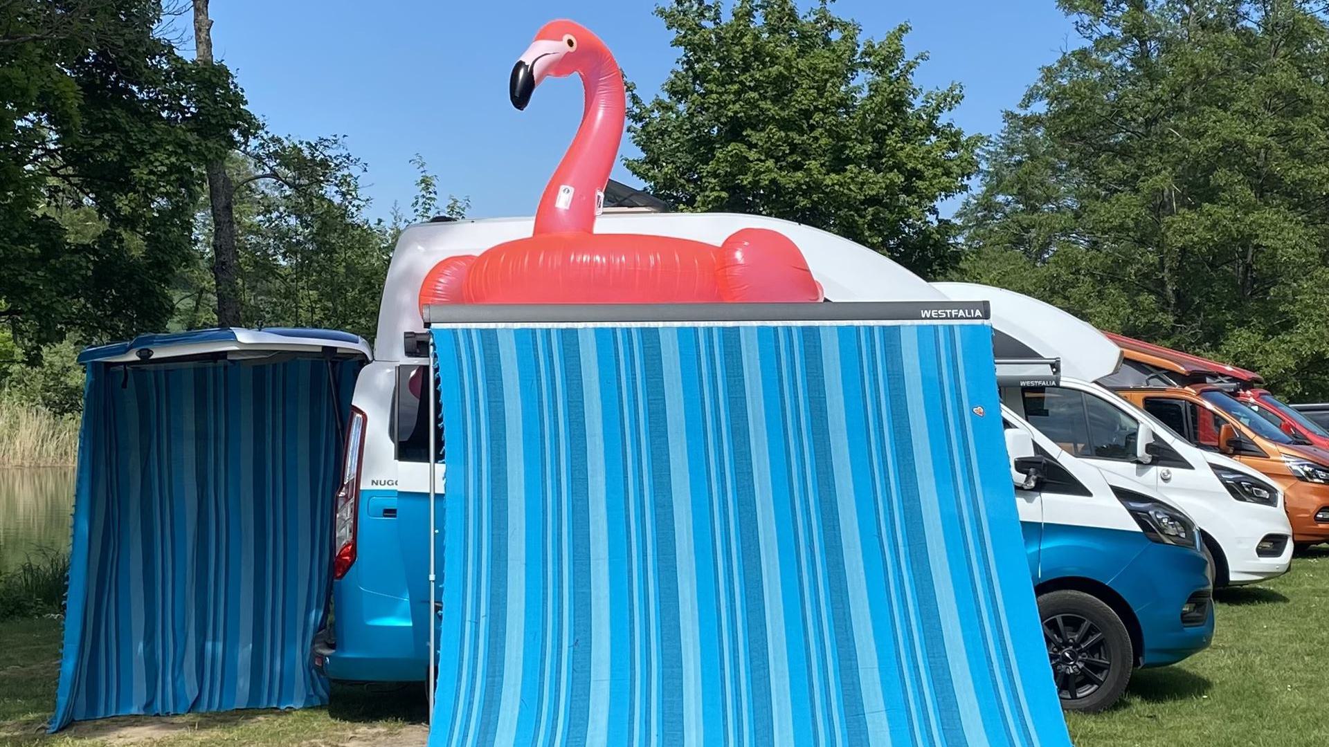 Farbenfrohe Vielfalt